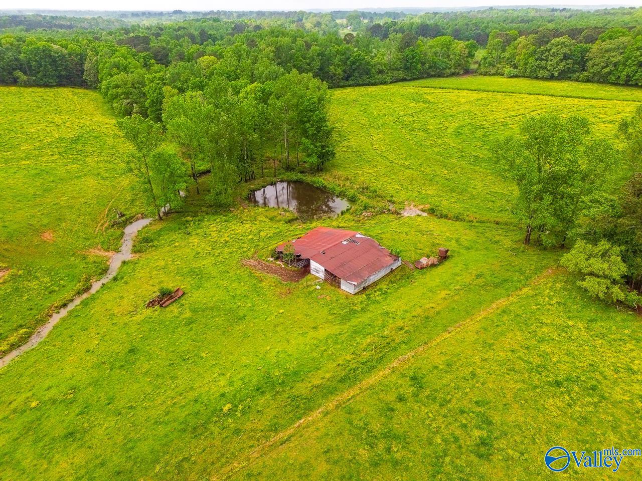 805 County Road 1459, Vinemont, Alabama image 41