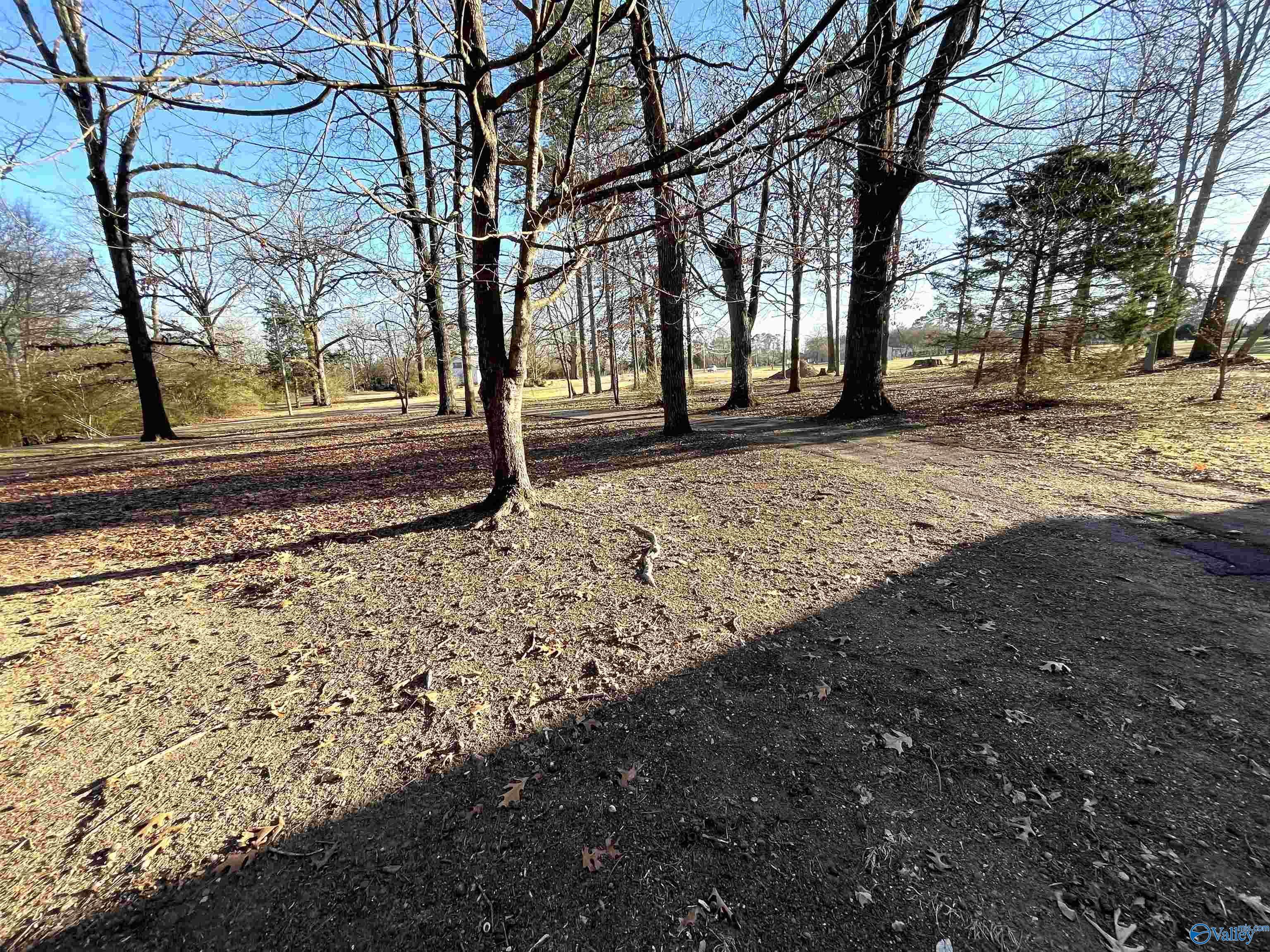 5 Wright Road, Albertville, Alabama image 24