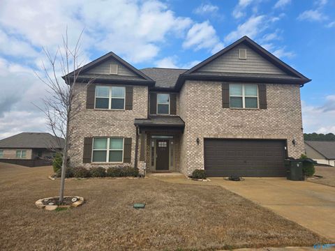 Homes For Sale - 109 Pomelo Street<br/> Huntsville, AL 35811