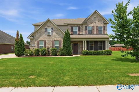 Homes For Sale - 132 Chattooga Place<br/> New Market, AL 35761