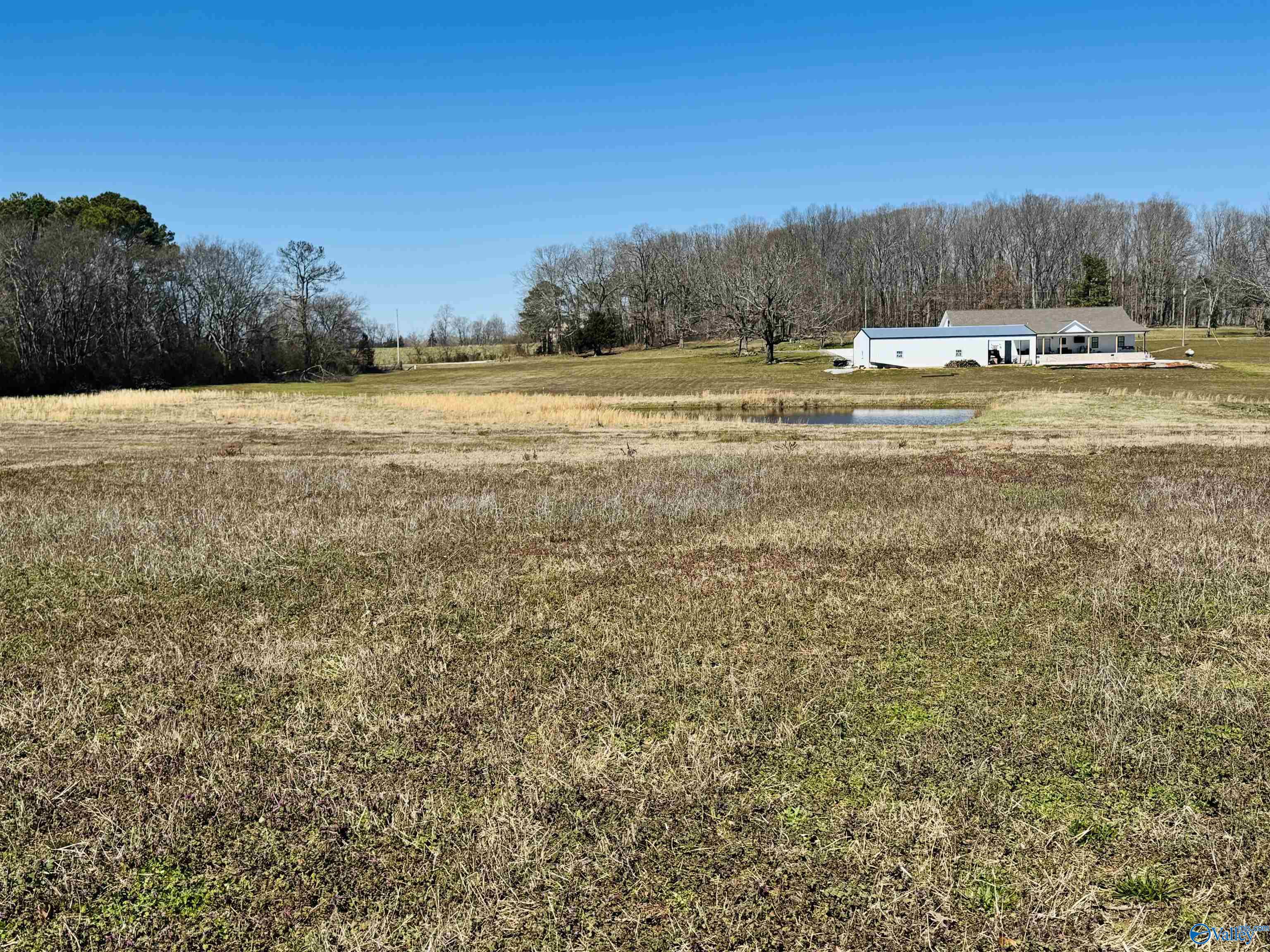 3081 County Road 52, Rogersville, Alabama image 4