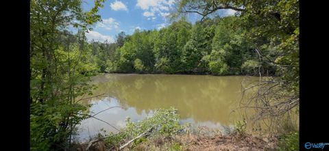 Vacant Land For Sale - 157 County Road 144<br/> Gaylesville, AL 35973