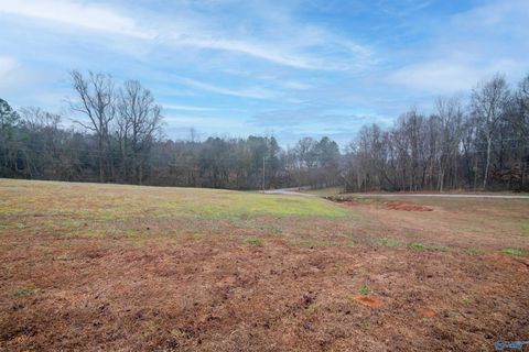 Vacant Land For Sale - 002 Witty Mill Road<br/> Elkmont, AL 35620