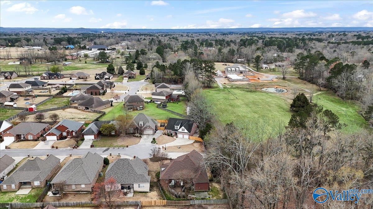1312 Berrivine Drive, Hartselle, Alabama image 45
