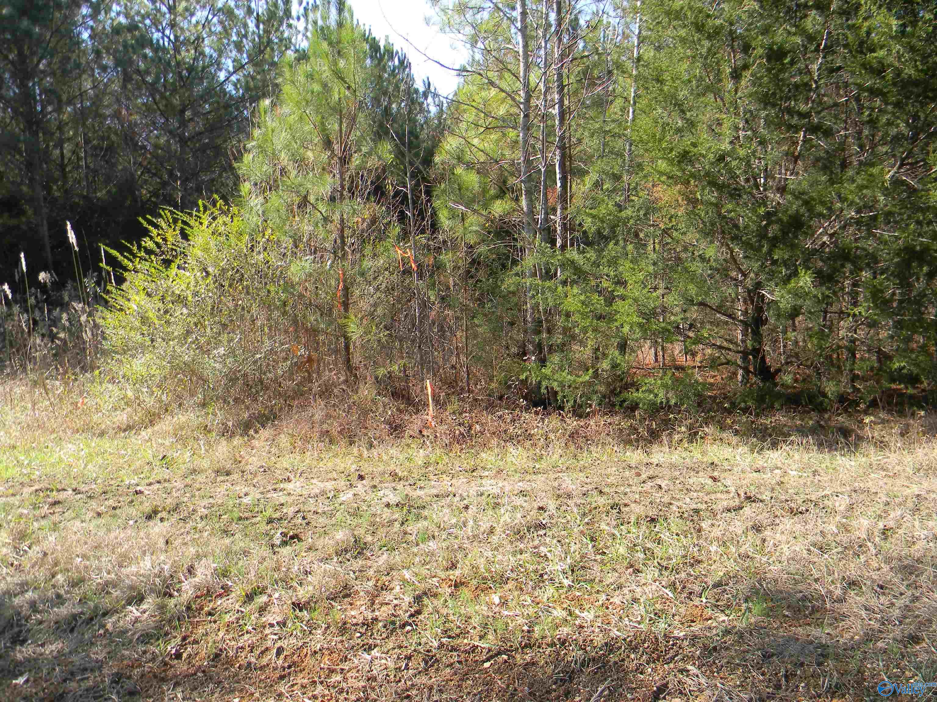 Tracks 3-4-5 County Road 143, Gaylesville, Alabama image 11