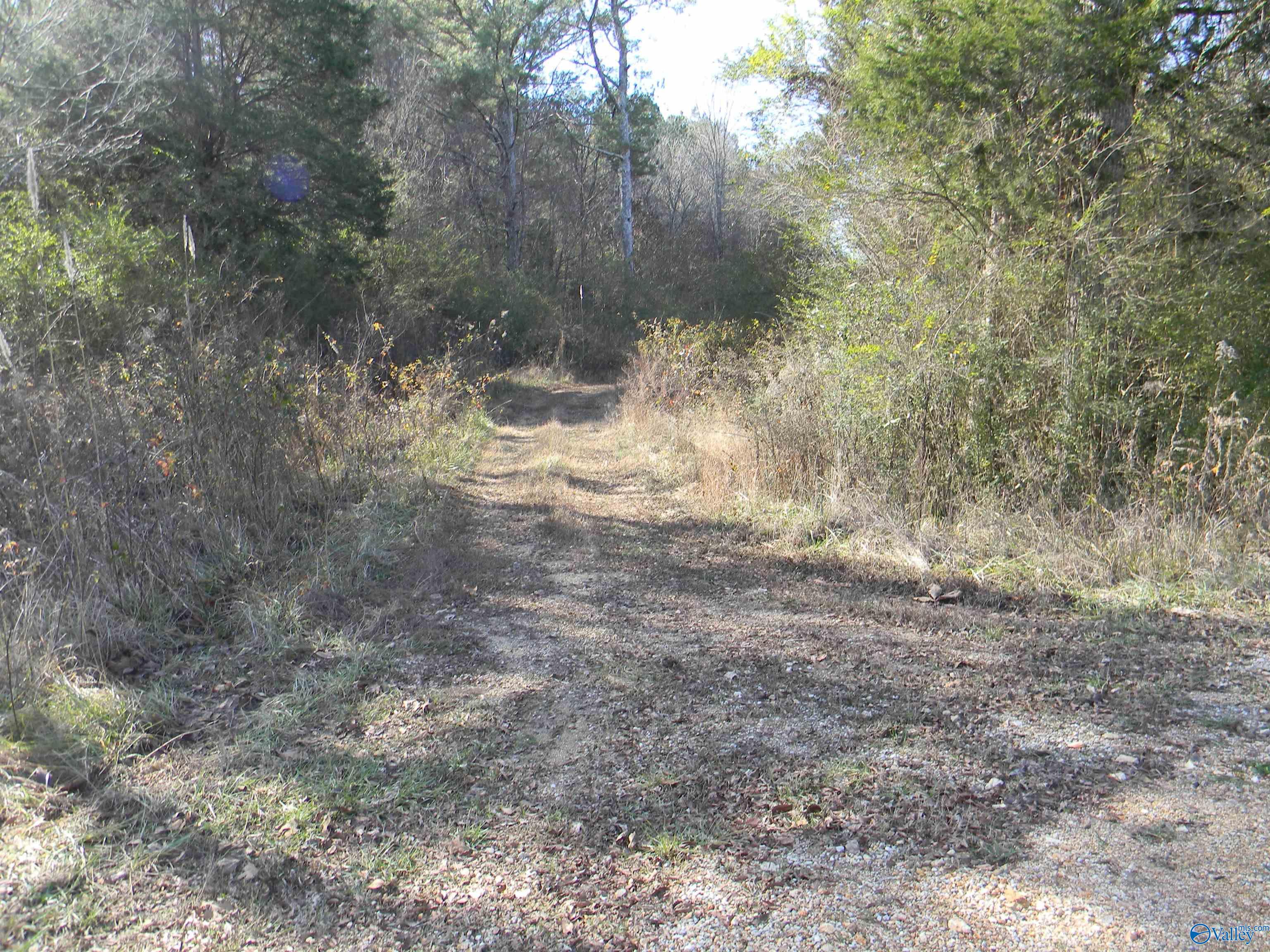 Tracks 3-4-5 County Road 143, Gaylesville, Alabama image 6