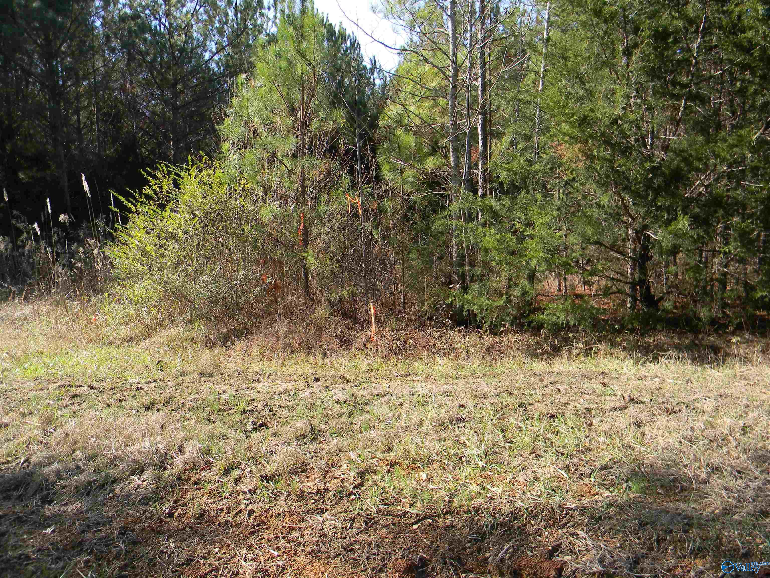 Tracks 3-4-5 County Road 143, Gaylesville, Alabama image 1