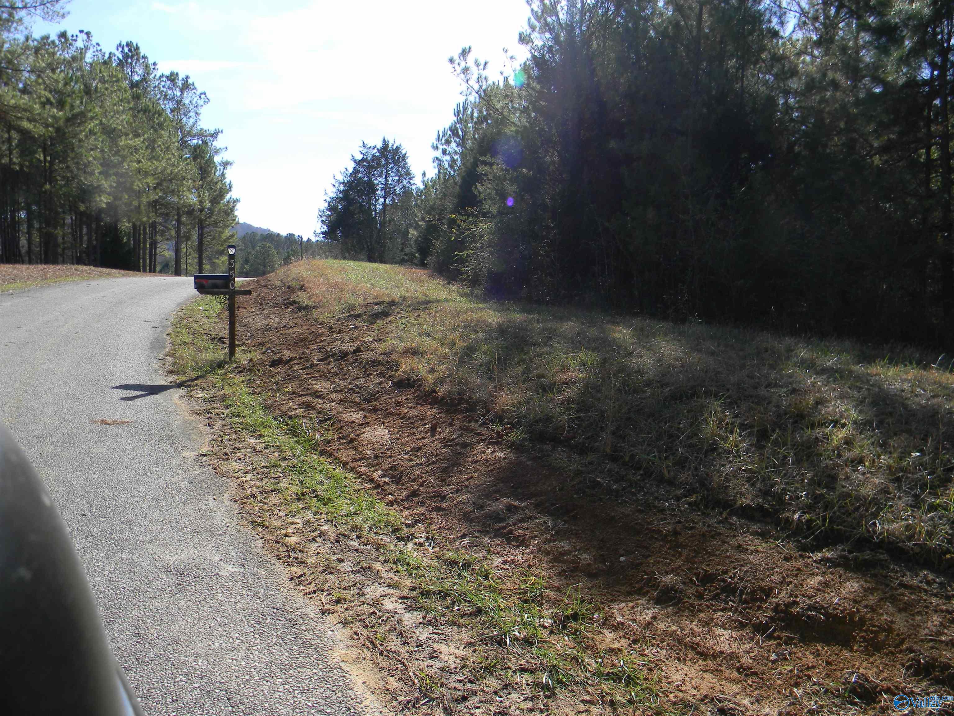 Tracks 3-4-5 County Road 143, Gaylesville, Alabama image 9