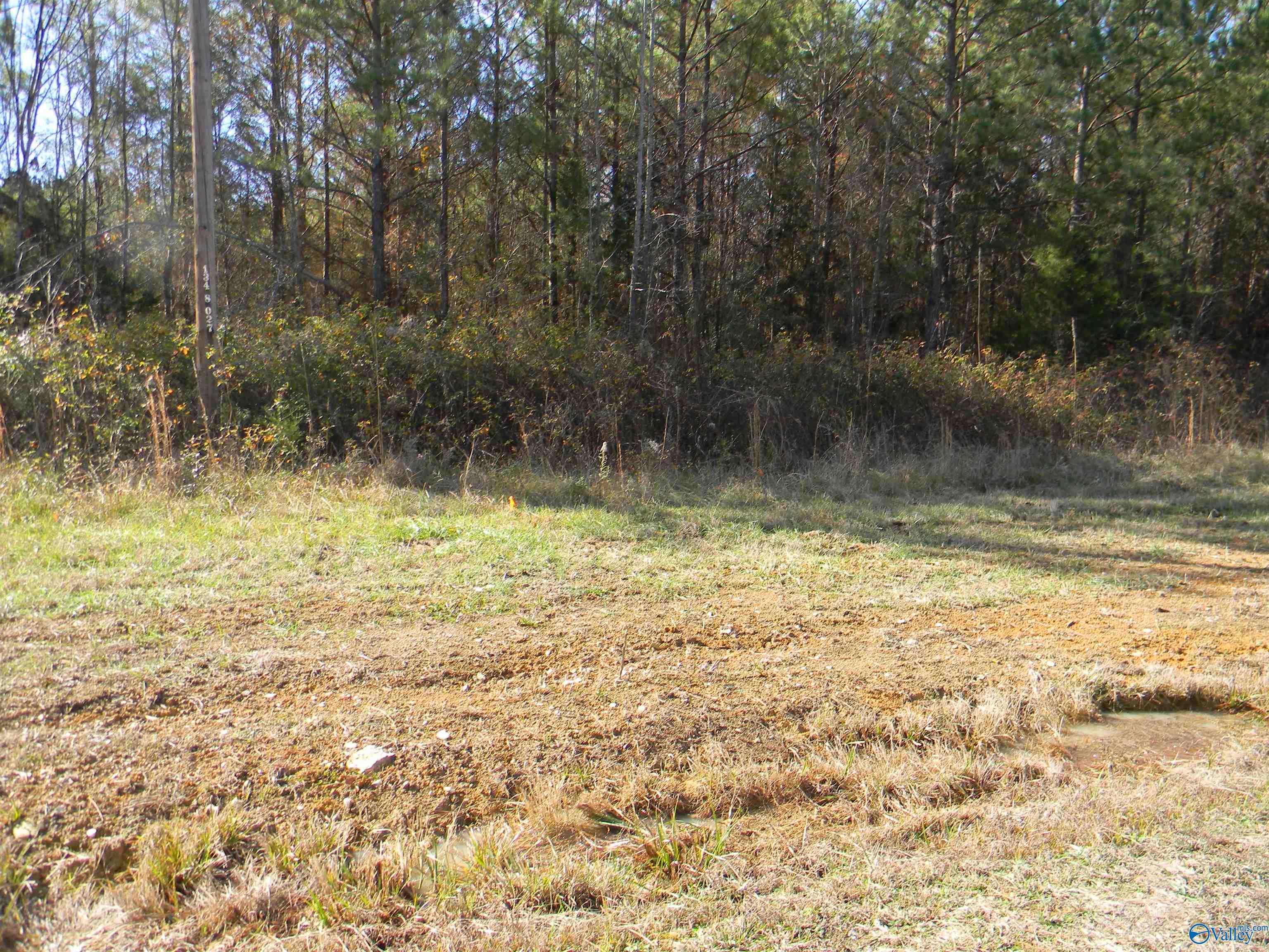 Tracks 3-4-5 County Road 143, Gaylesville, Alabama image 5