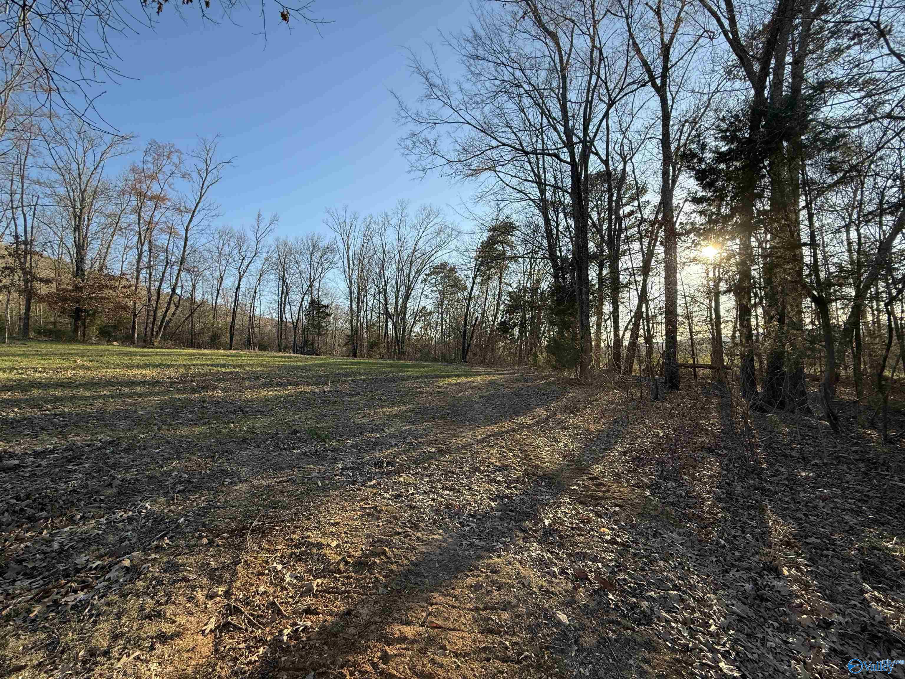 40 Acres County Road 67, Section, Alabama image 4