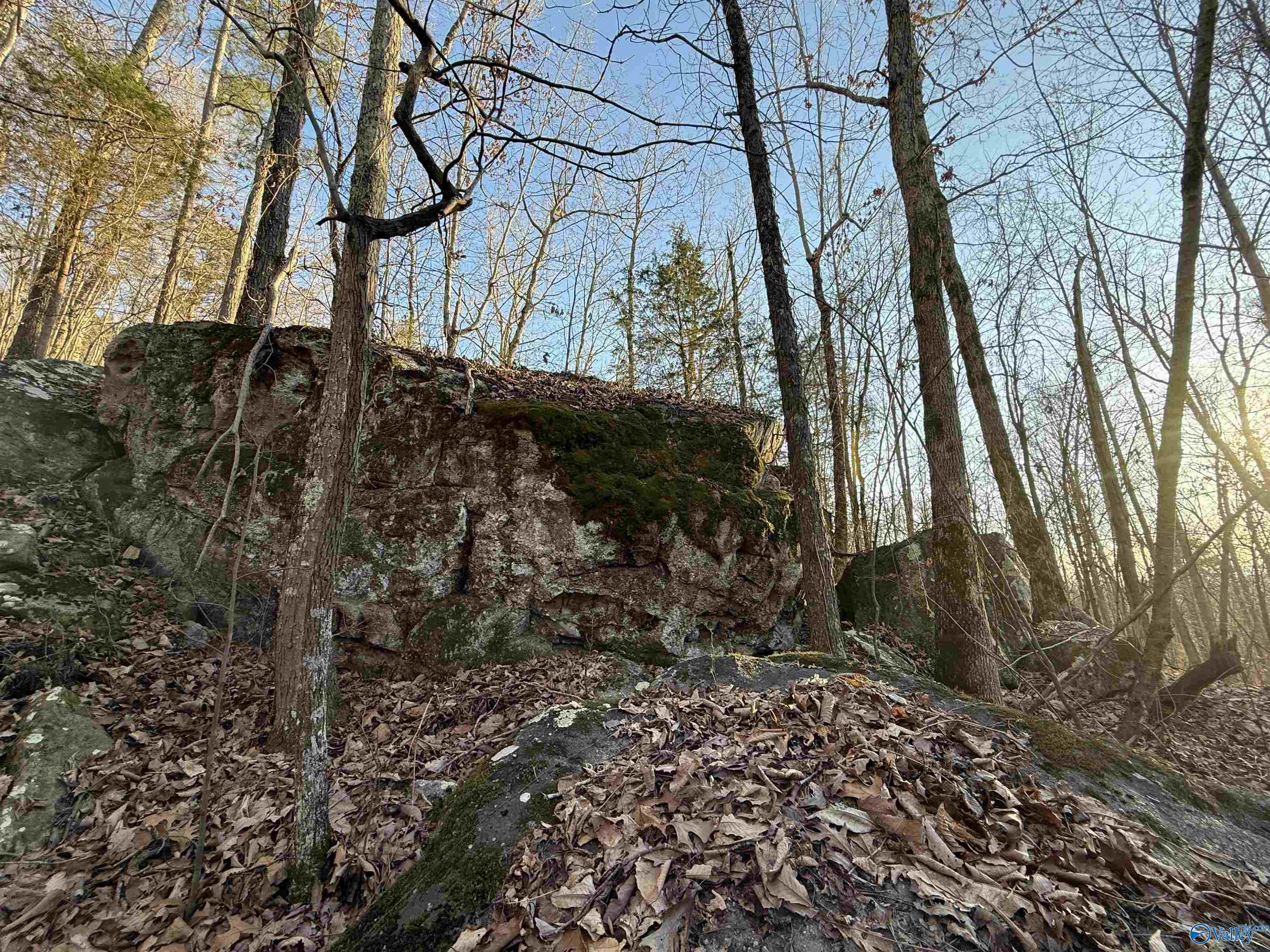40 Acres County Road 67, Section, Alabama image 10
