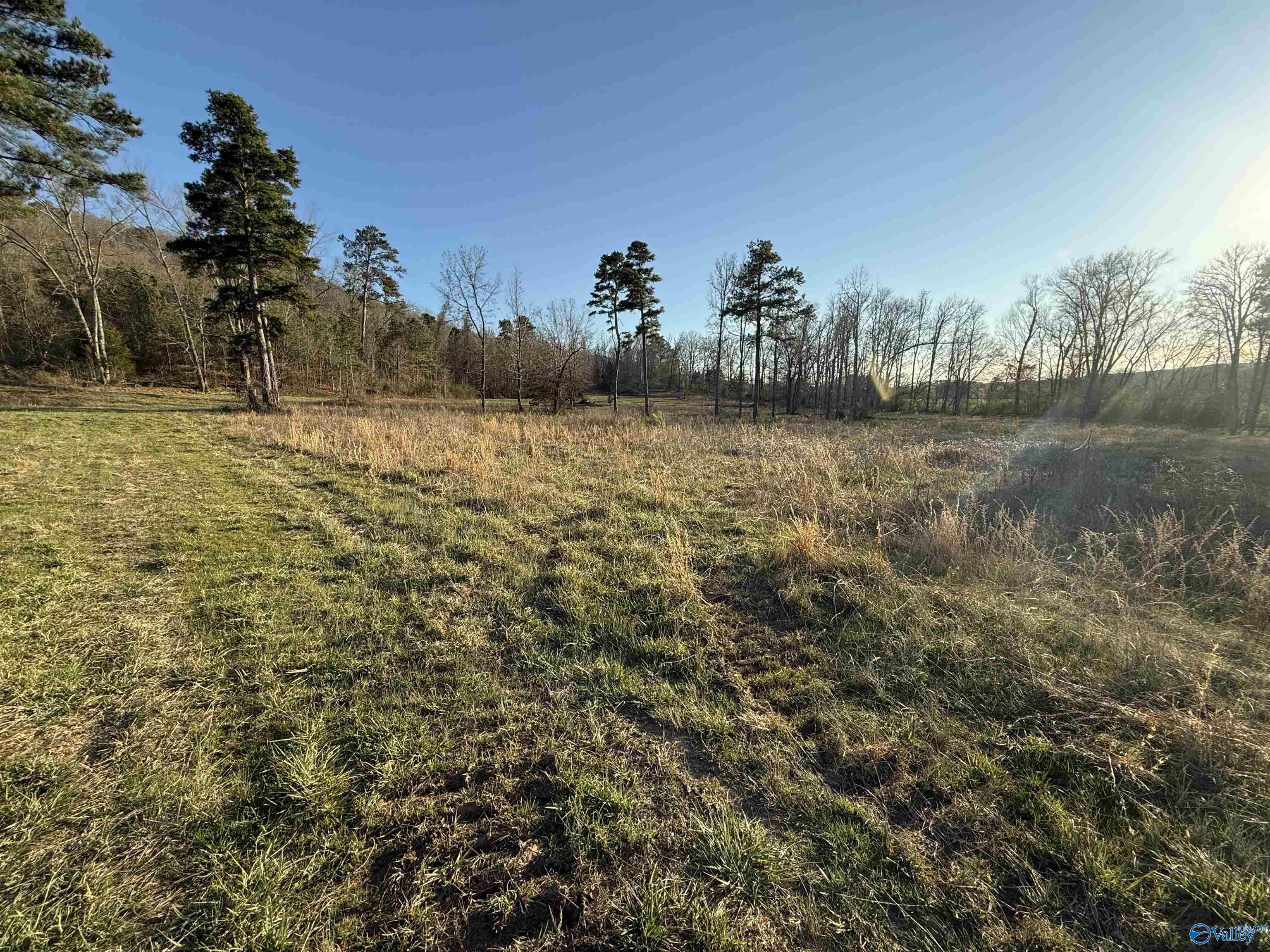 40 Acres County Road 67, Section, Alabama image 2