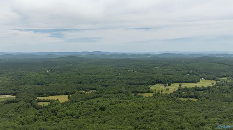 Vacant Land For Sale - 495 County Road 865<br/> Cherokee County, Gaylesville, AL 35973