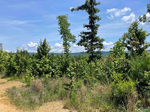 Vacant Land For Sale - 199 ACRES Hornbuckle Road<br/> Collinsville, AL 35961