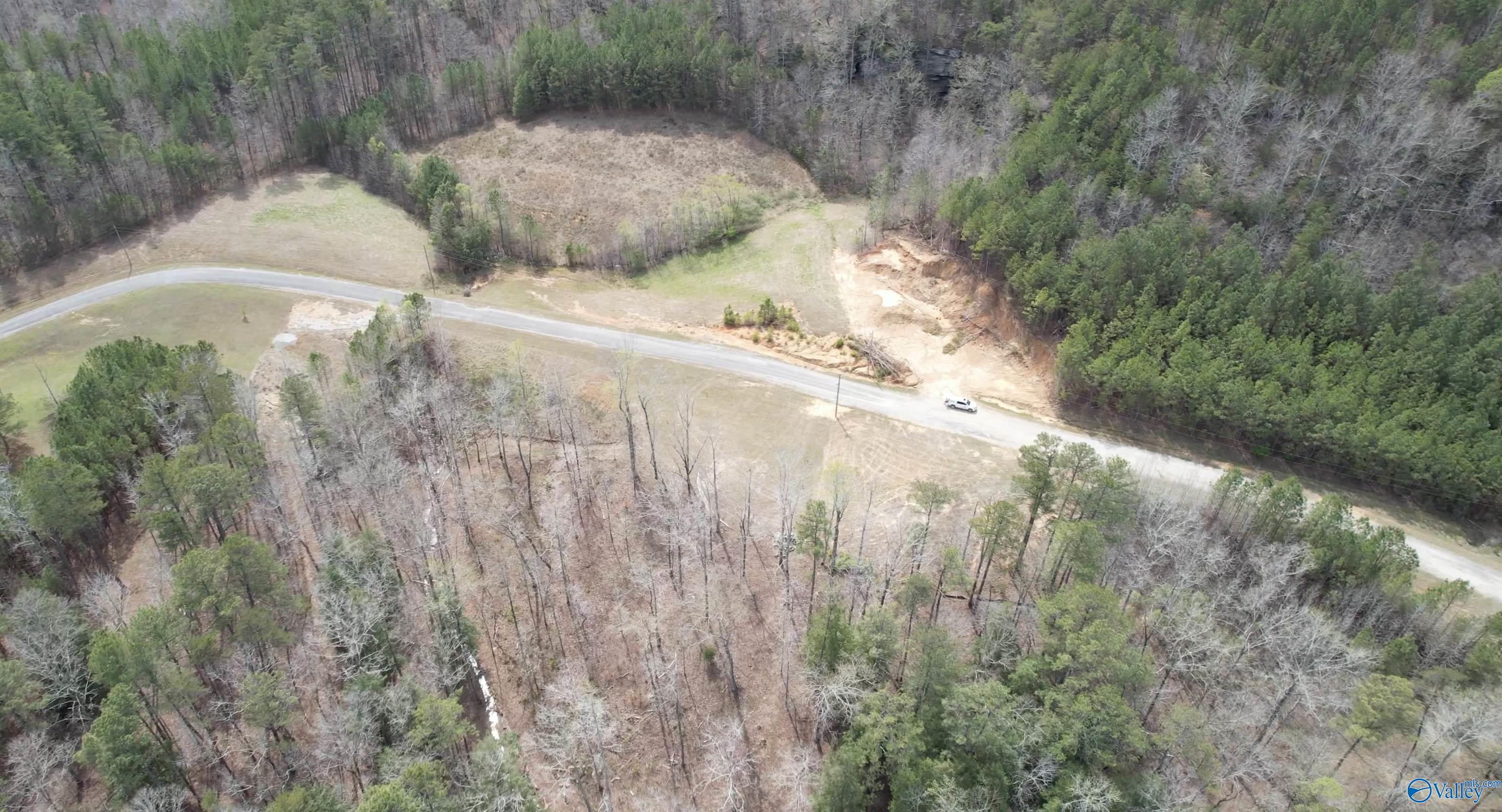 101 & 102 Sipsey Overlook Road, Double Springs, Alabama image 8