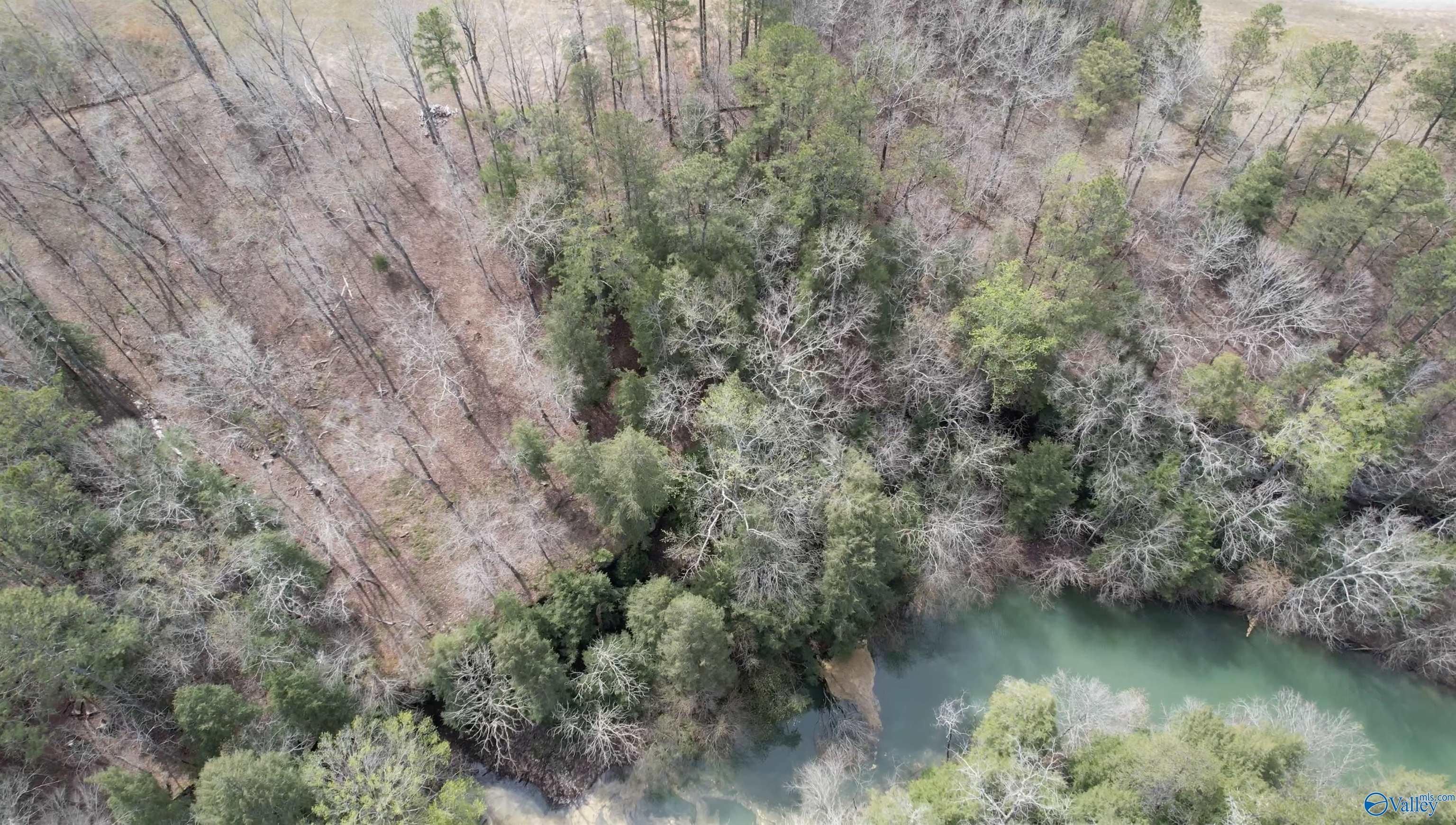 101 & 102 Sipsey Overlook Road, Double Springs, Alabama image 11