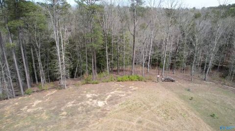 Vacant Land For Sale - 101 & 102 Sipsey Overlook Road<br/> Double Springs, AL 35553