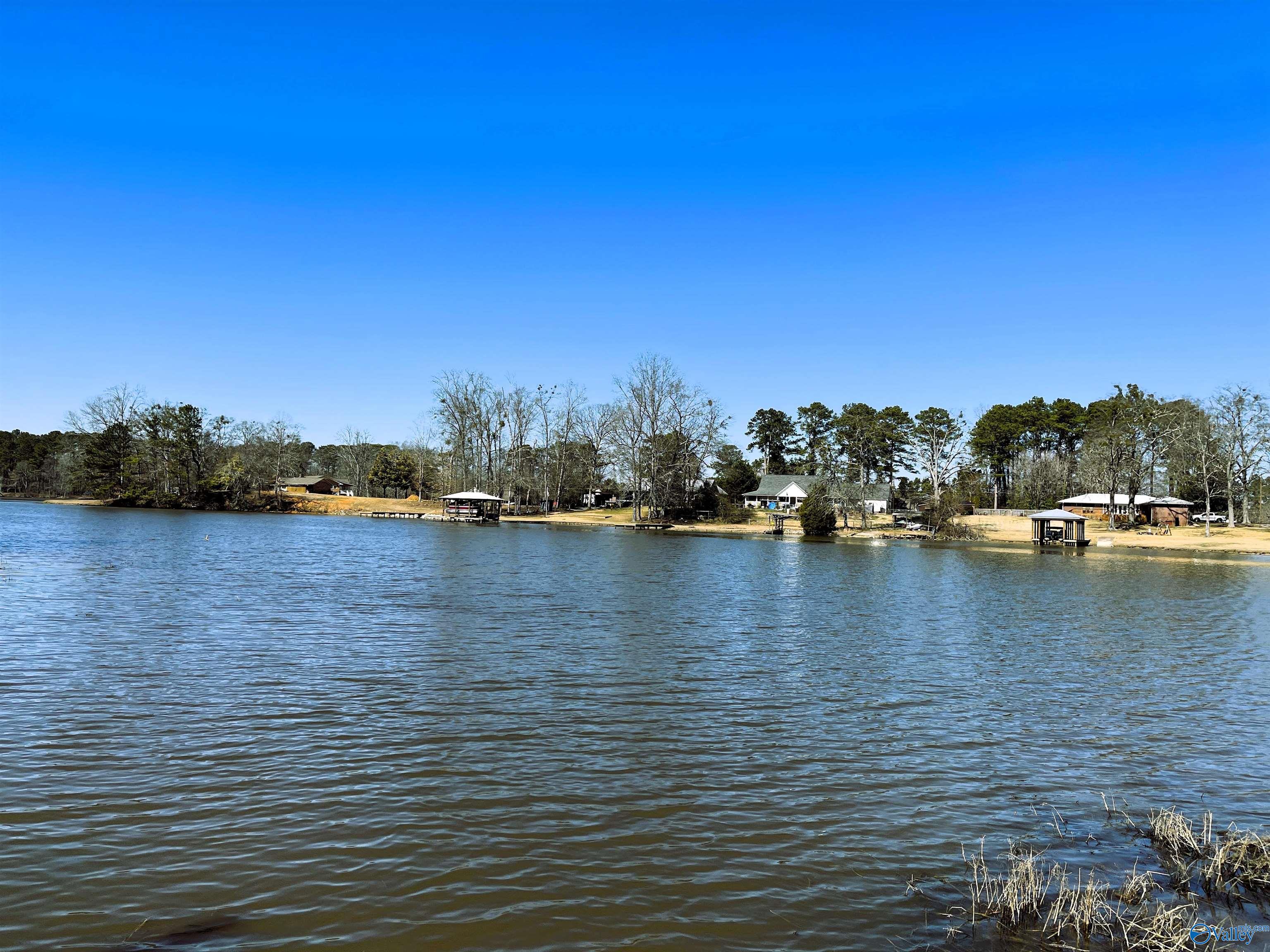 916B Riverview Drive, Gadsden, Alabama image 2