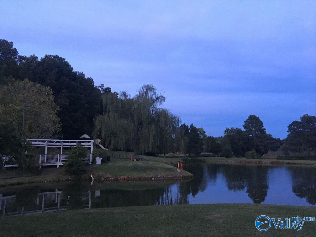 Madison, Alabama 35758, United States, 4 Bedrooms Bedrooms, ,3 BathroomsBathrooms,Residential,Active,247302