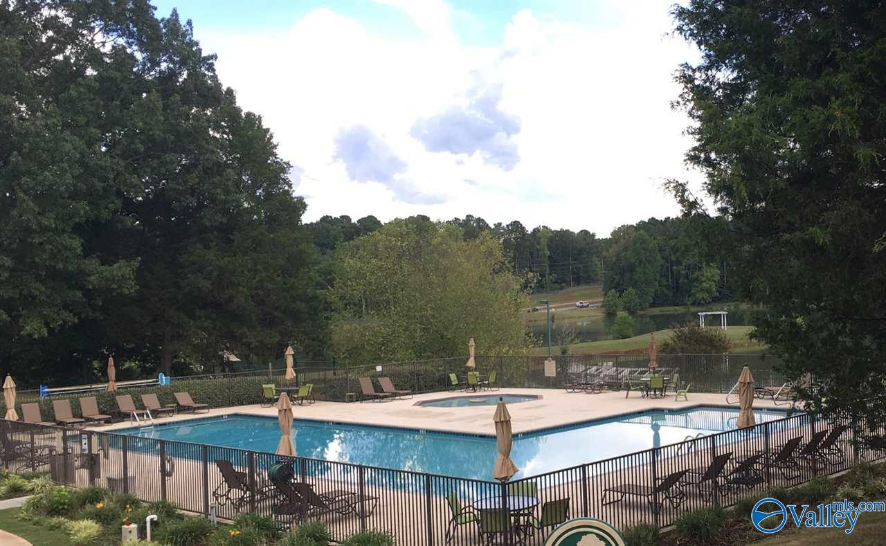 Madison, Alabama 35758, United States, 4 Bedrooms Bedrooms, ,3 BathroomsBathrooms,Residential,Active,247302