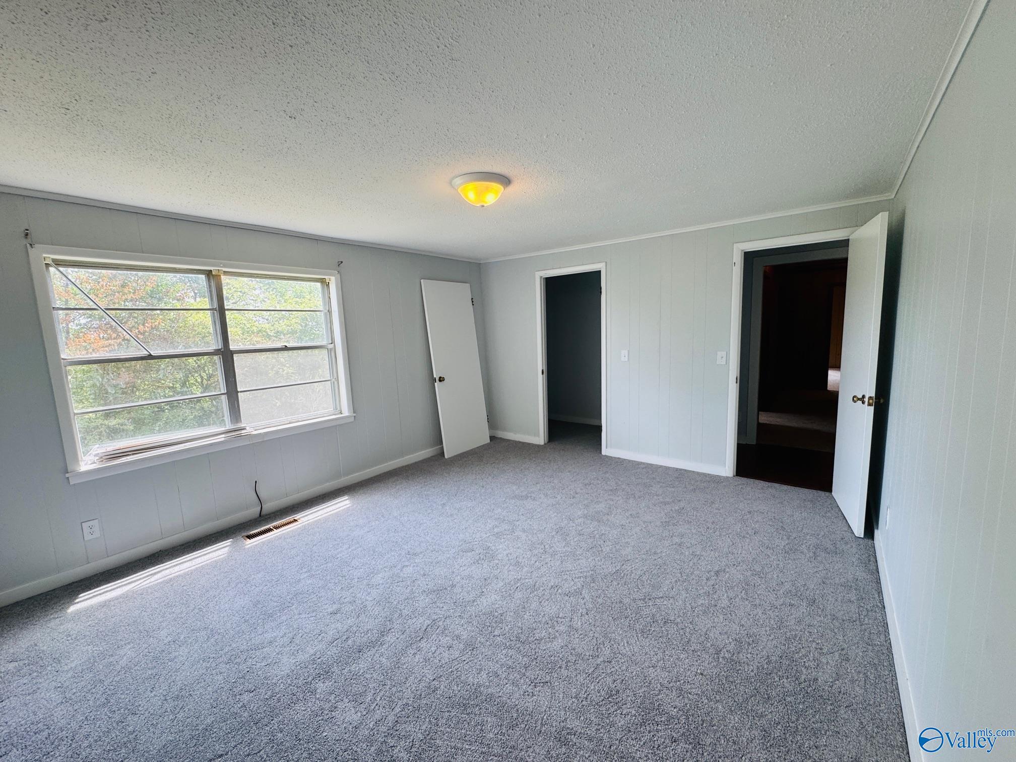 97 Big Spring Brow Road, Horton, Alabama image 10