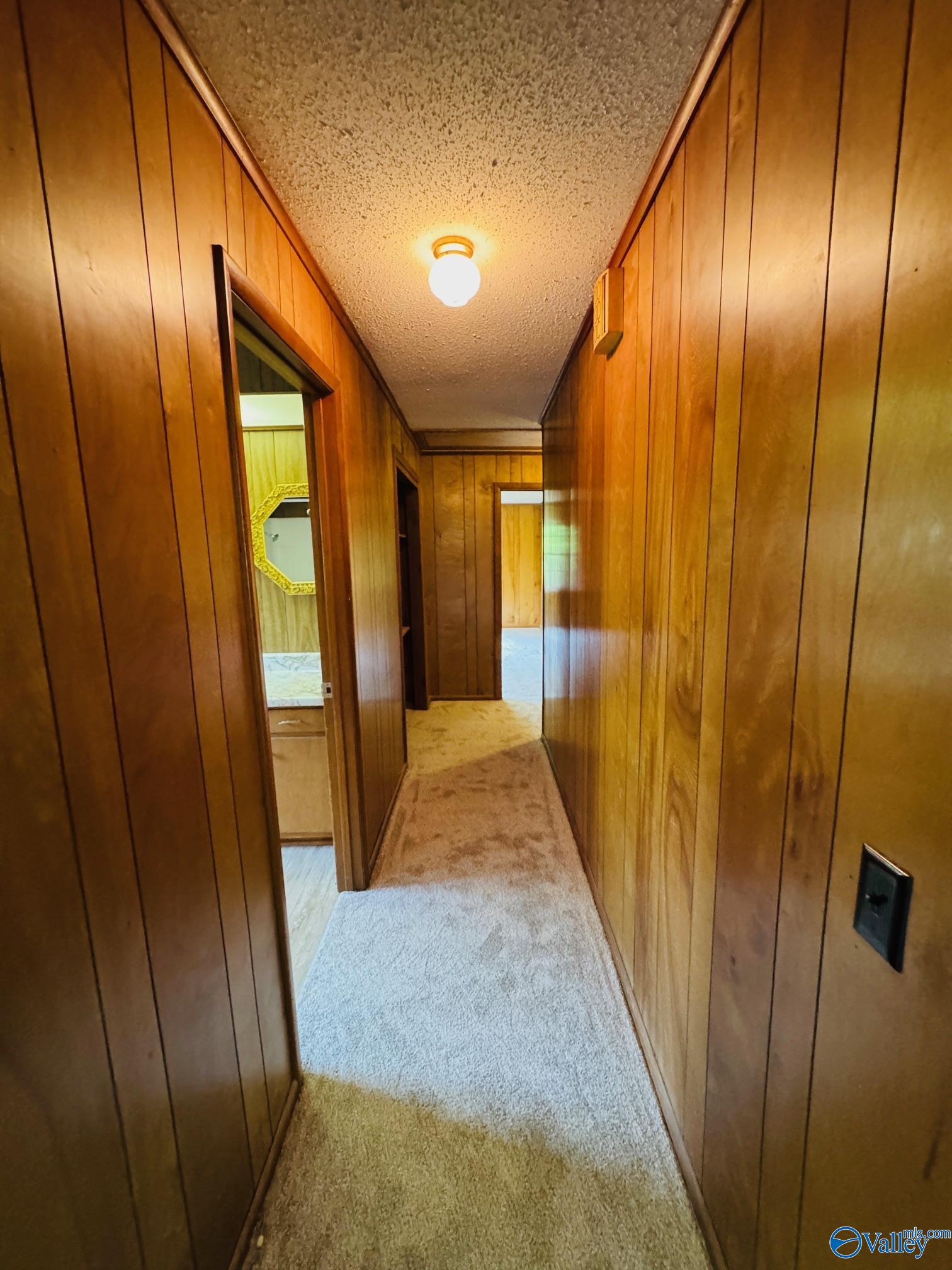 97 Big Spring Brow Road, Horton, Alabama image 18