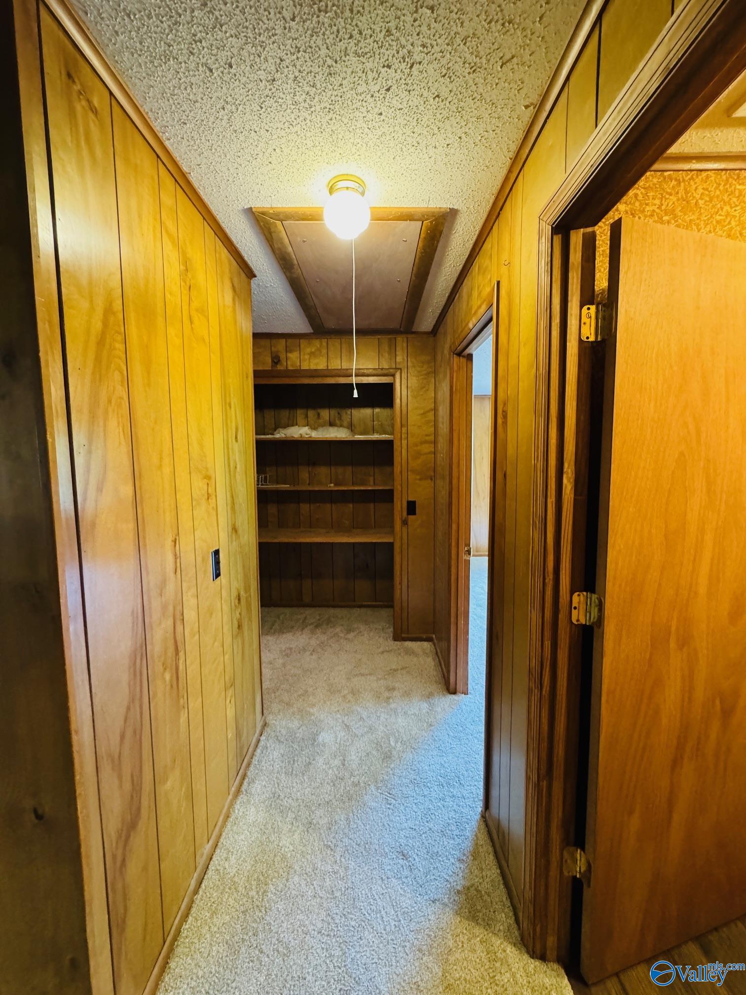 97 Big Spring Brow Road, Horton, Alabama image 14