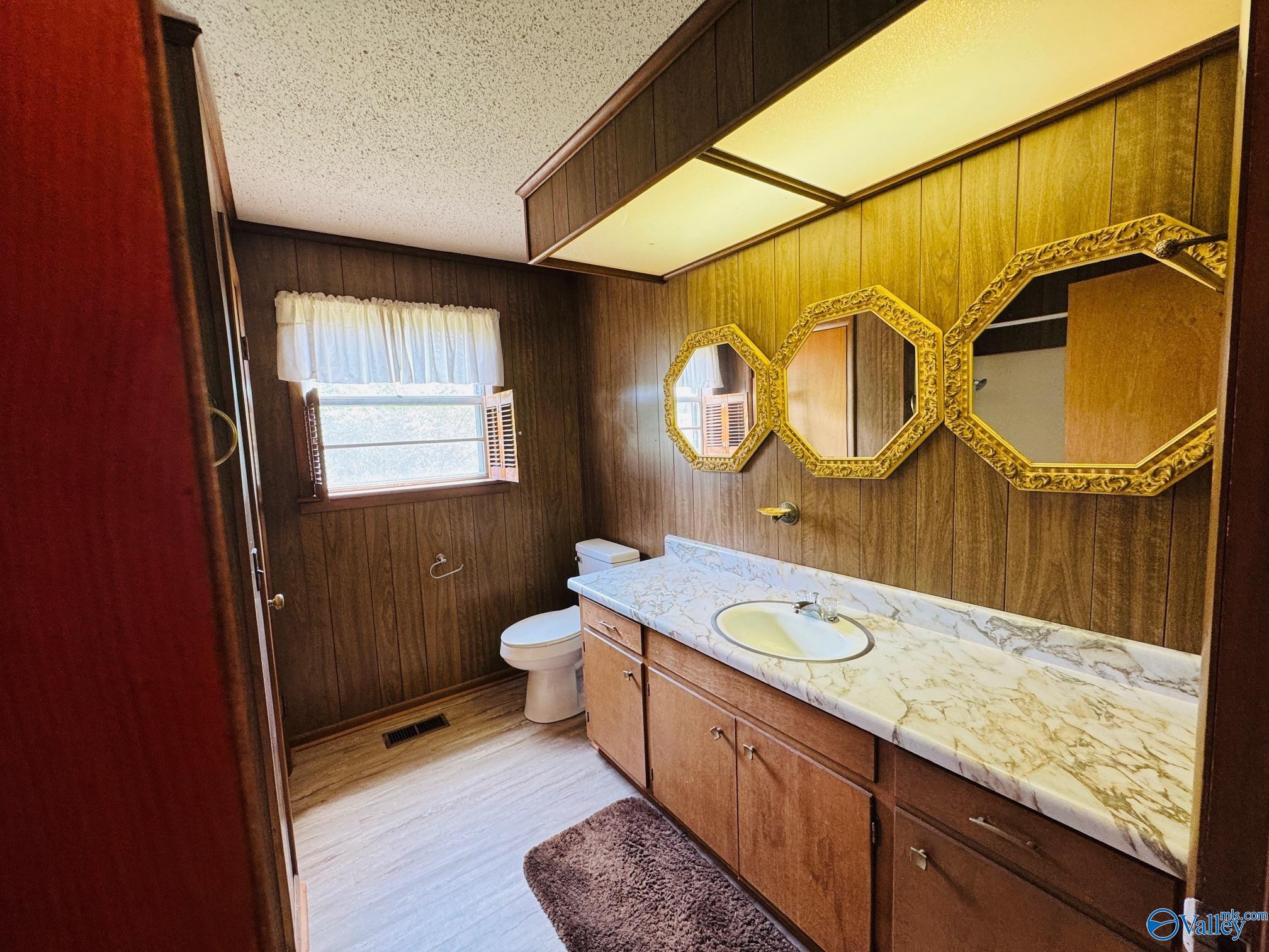 97 Big Spring Brow Road, Horton, Alabama image 17