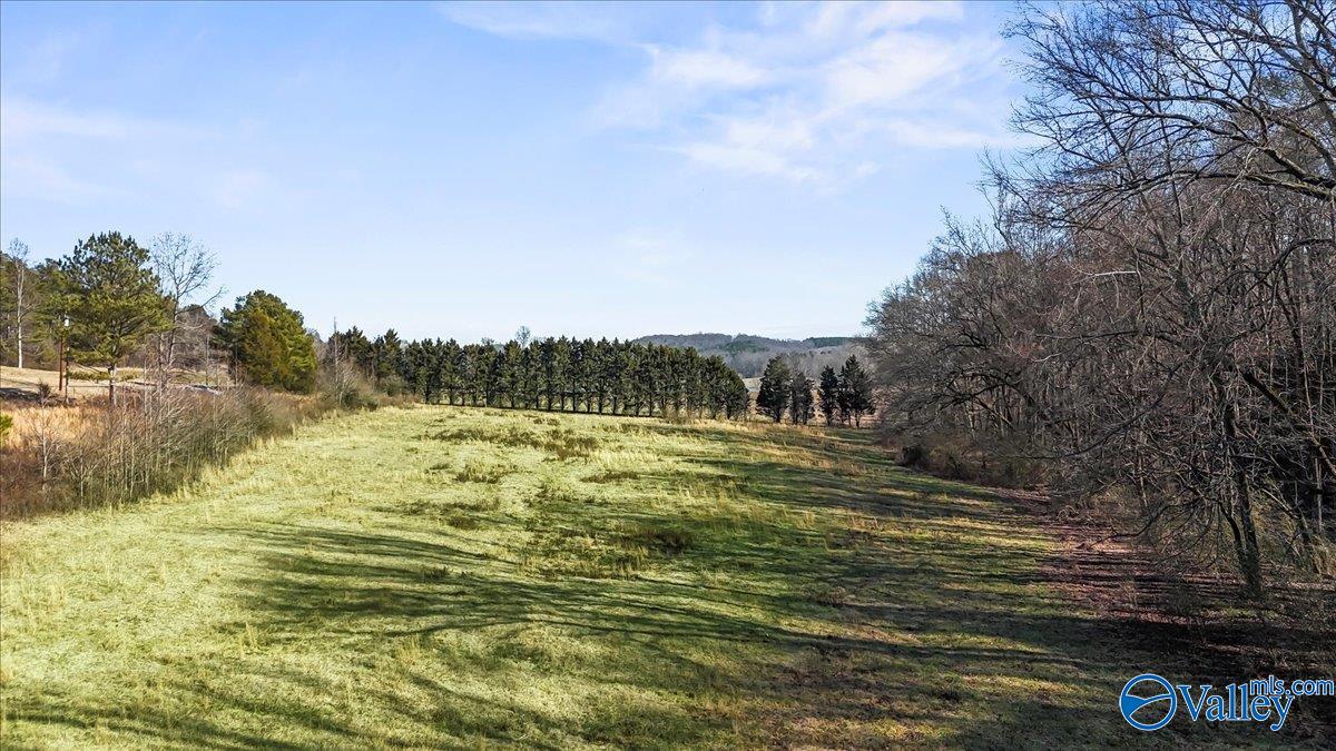 8064 Sand Valley Road, Attalla, Alabama image 17
