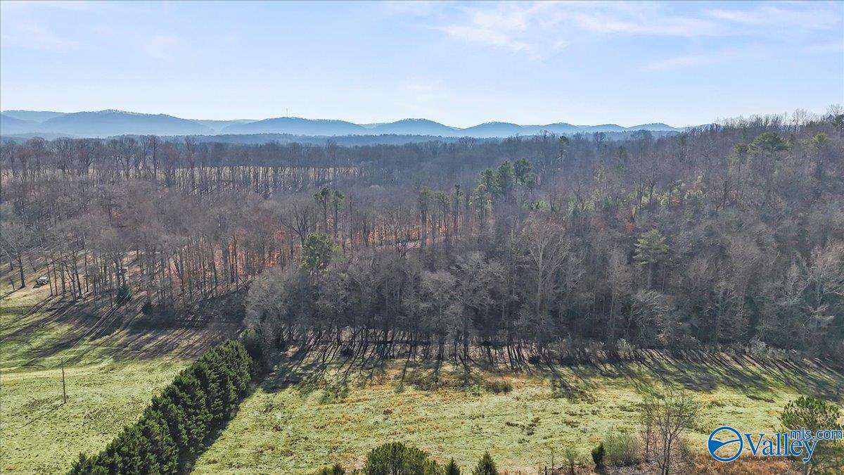 8064 Sand Valley Road, Attalla, Alabama image 4