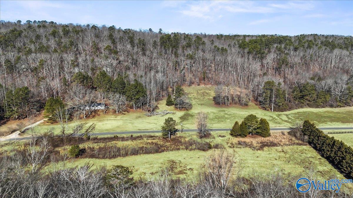 8064 Sand Valley Road, Attalla, Alabama image 9
