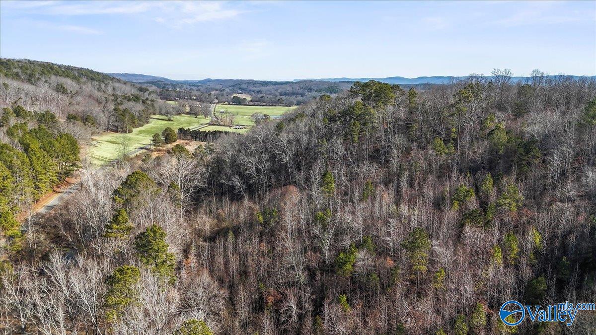 8064 Sand Valley Road, Attalla, Alabama image 14