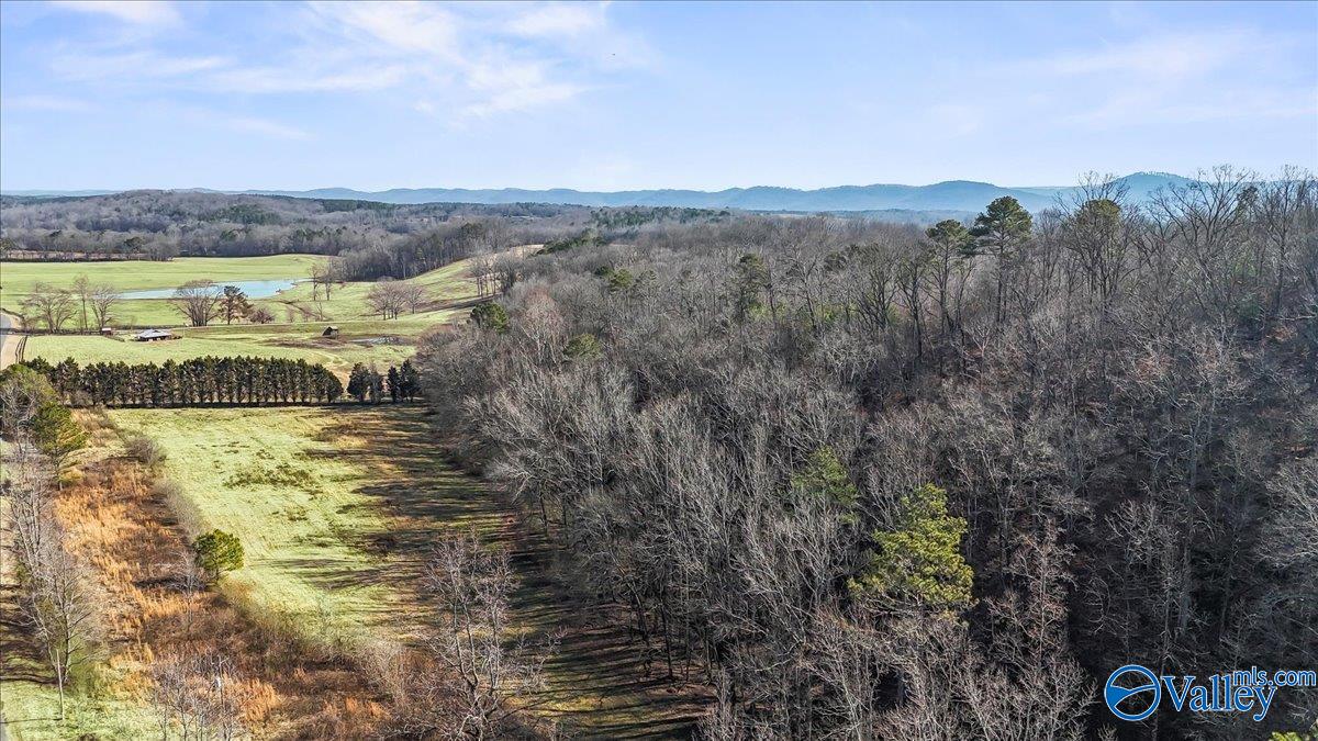 8064 Sand Valley Road, Attalla, Alabama image 5
