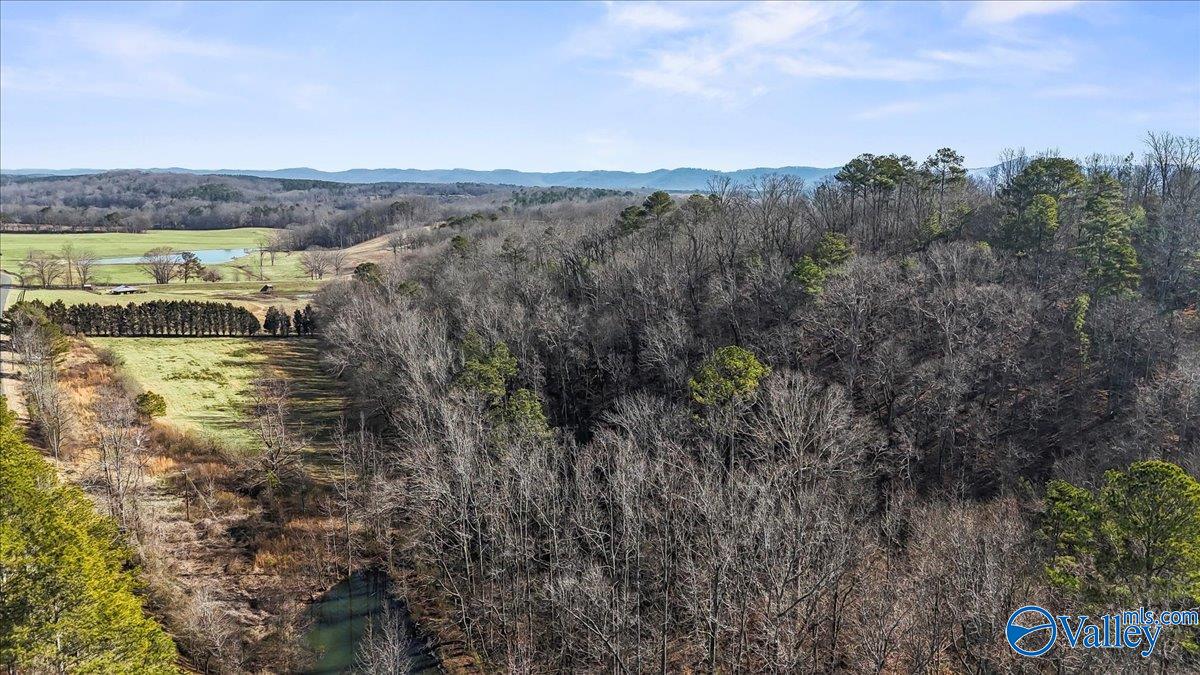 8064 Sand Valley Road, Attalla, Alabama image 6