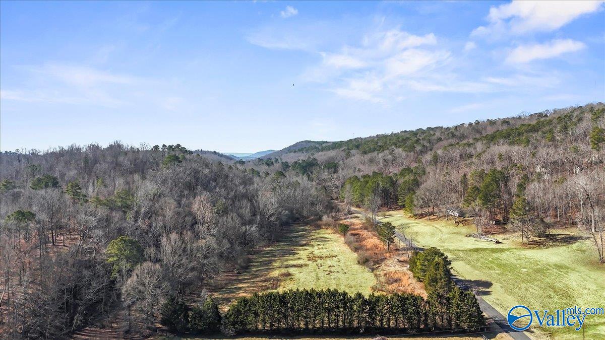 8064 Sand Valley Road, Attalla, Alabama image 3