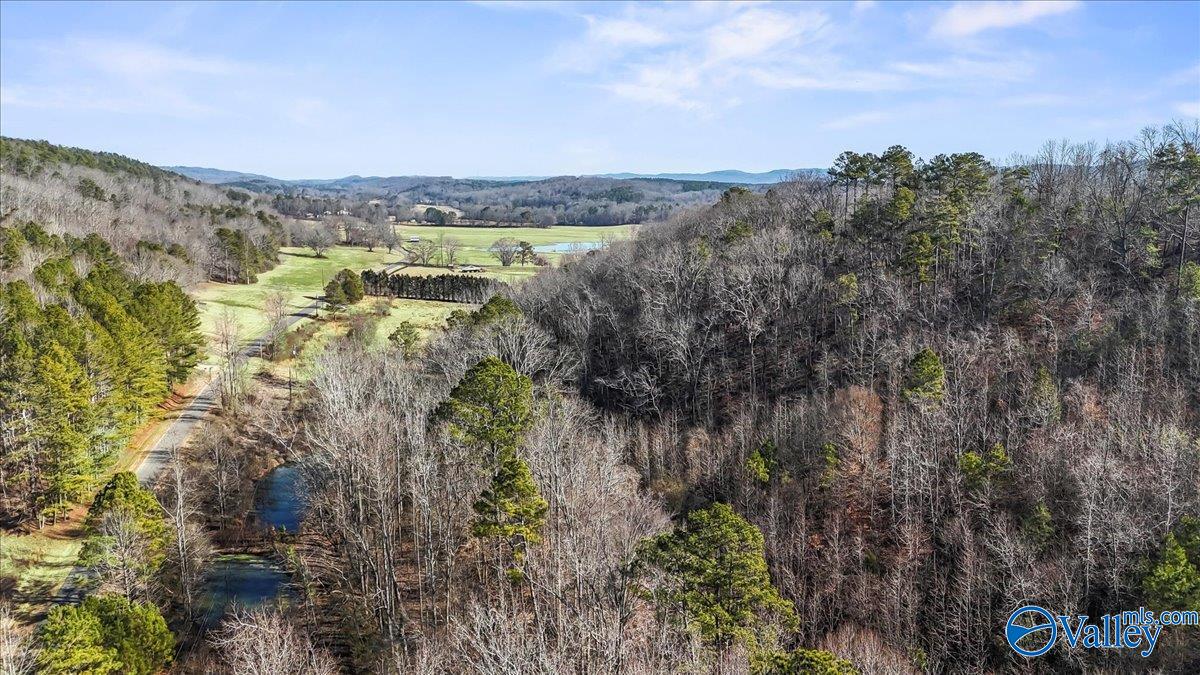8064 Sand Valley Road, Attalla, Alabama image 8