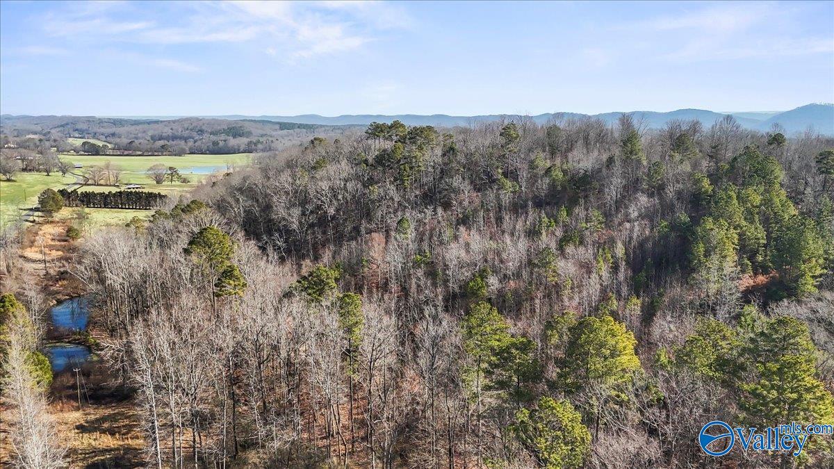 8064 Sand Valley Road, Attalla, Alabama image 13