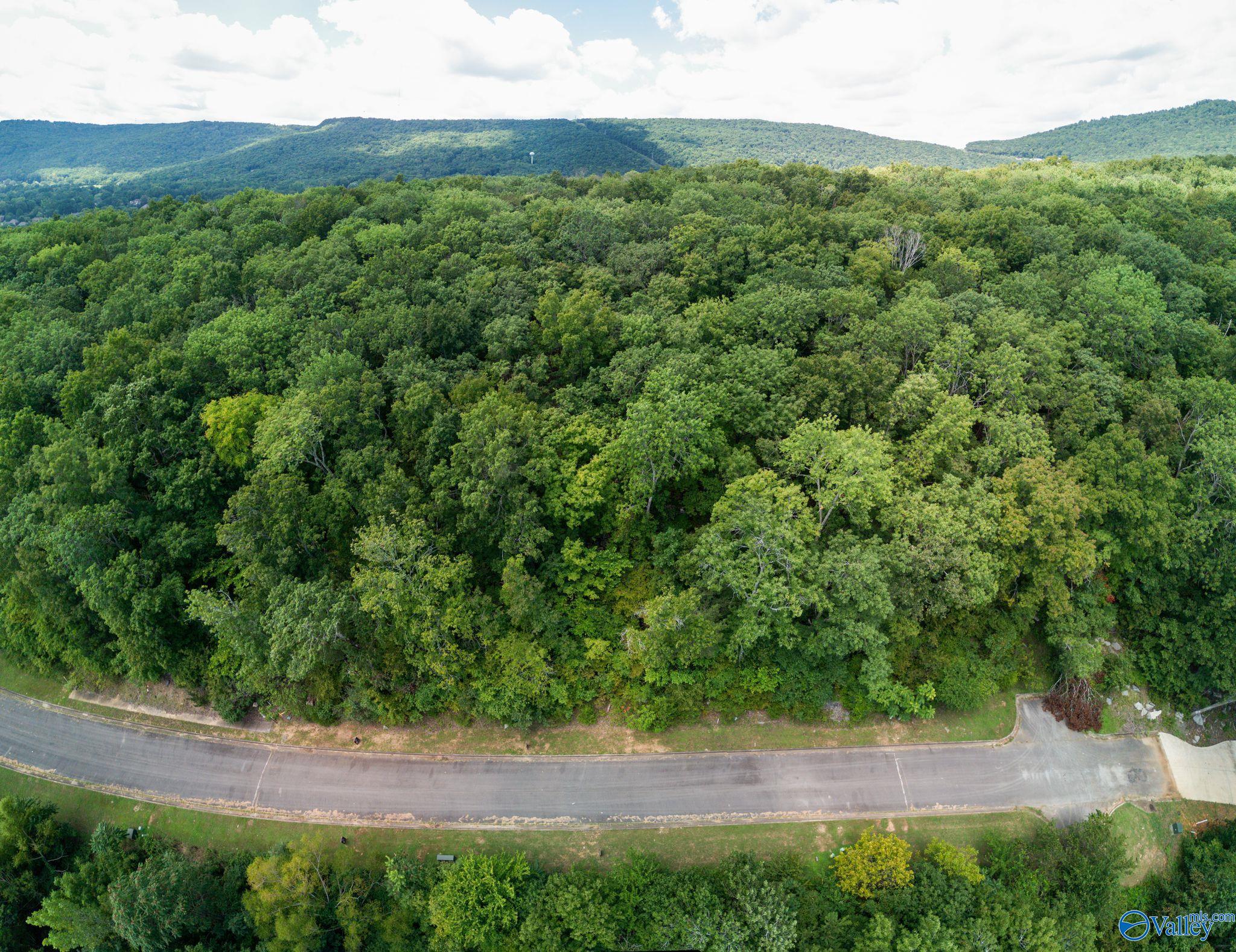 7014 Ridge Crest Road #LOT40, Owens Cross Roads, Alabama image 8