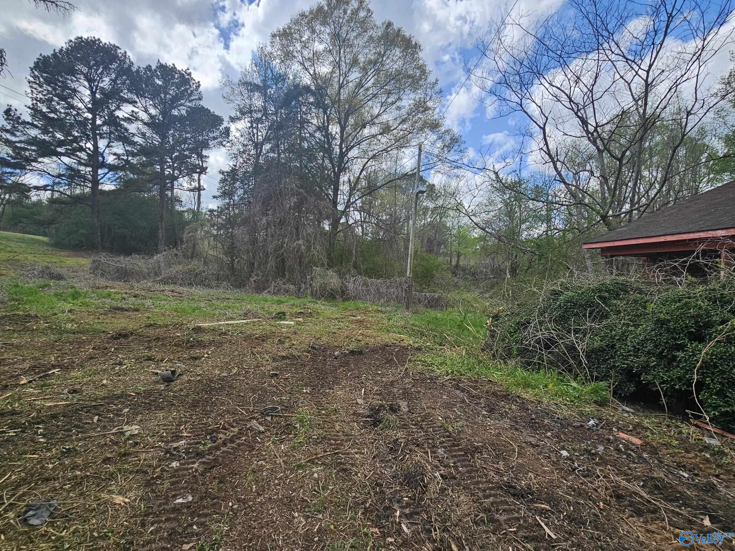 1006 County Road 1233, Vinemont, Alabama image 2