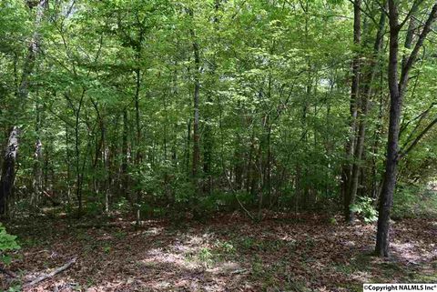 Vacant Land For Sale - 16.4 AC Highway 278<br/> Etowah County, Hokes Bluff, AL 35903