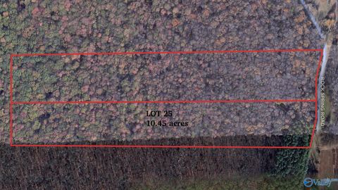 10.45 acres Rock Spring Road Owens Cross Roads AL 35763