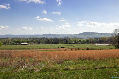 Vacant Land For Sale - 16.6 ACRES Dug Hill Road<br/> Madison County, Brownsboro, AL 35741