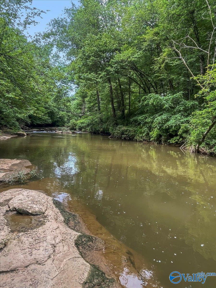 123.5 County Road 992, Cullman, Alabama image 9