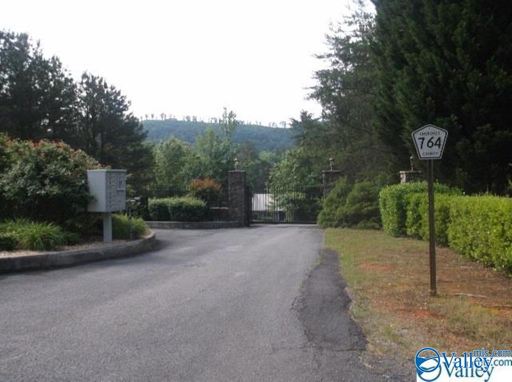 LOT 17 County Road 479, Cedar Bluff, Alabama image 14