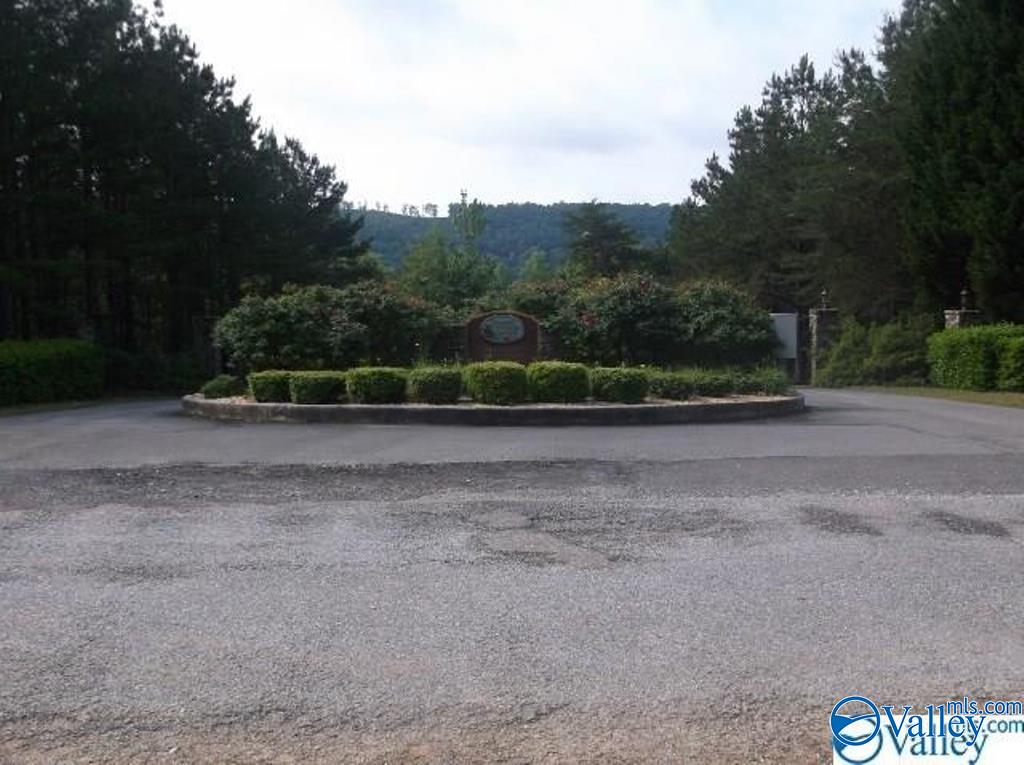 LOT 17 County Road 479, Cedar Bluff, Alabama image 13