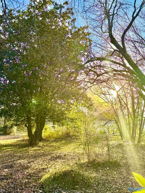 Vacant Land For Sale - LOT 1 Corsbie Street<br/> Hartselle, AL 35640