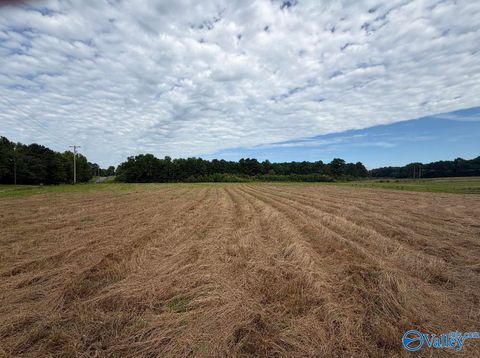 Vacant Land For Sale - 5.5 AC Pleasant Hill Road<br/> Guntersville, AL 36976