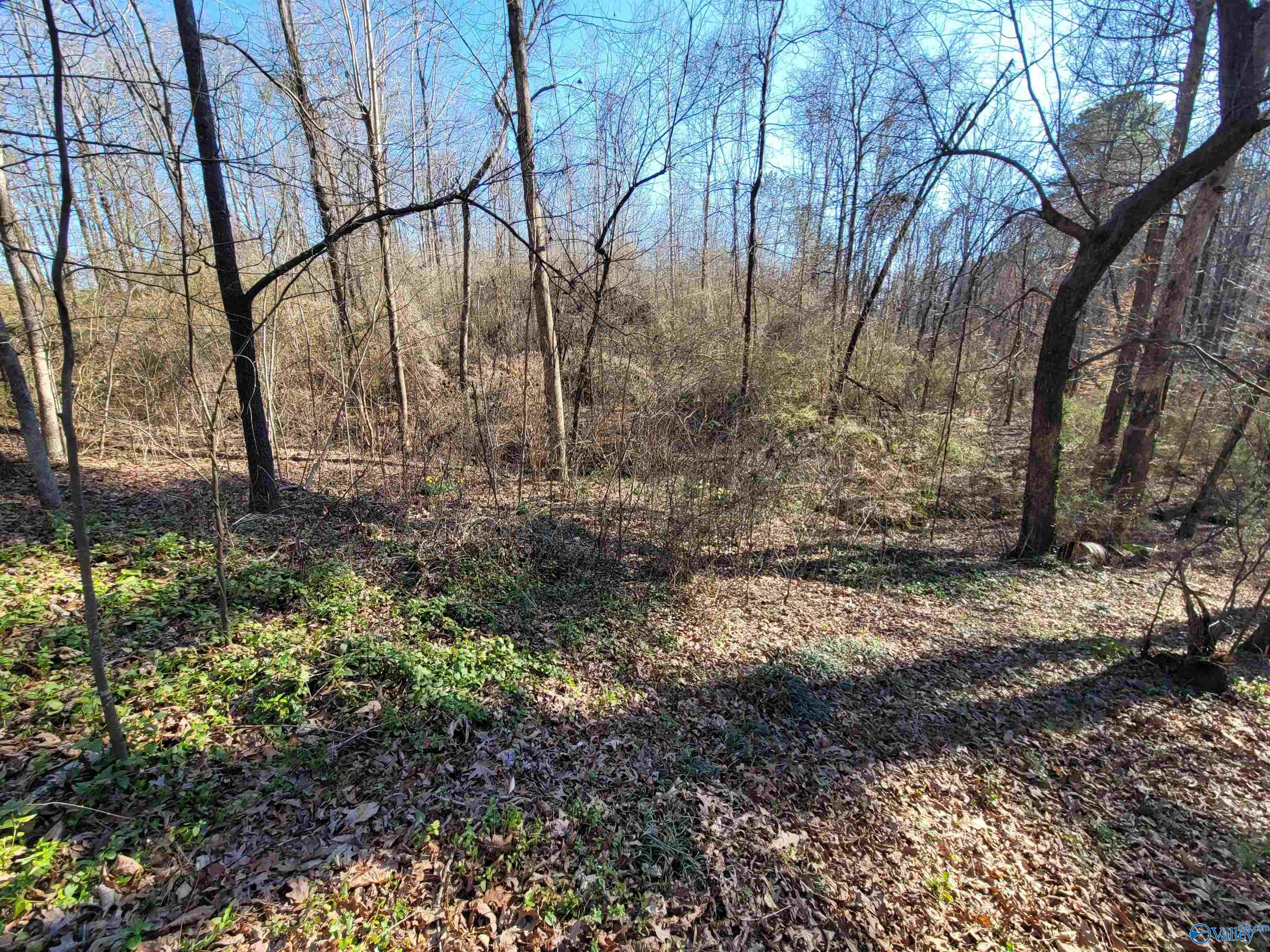 437 O Z Davis Road, Eva, Alabama image 28