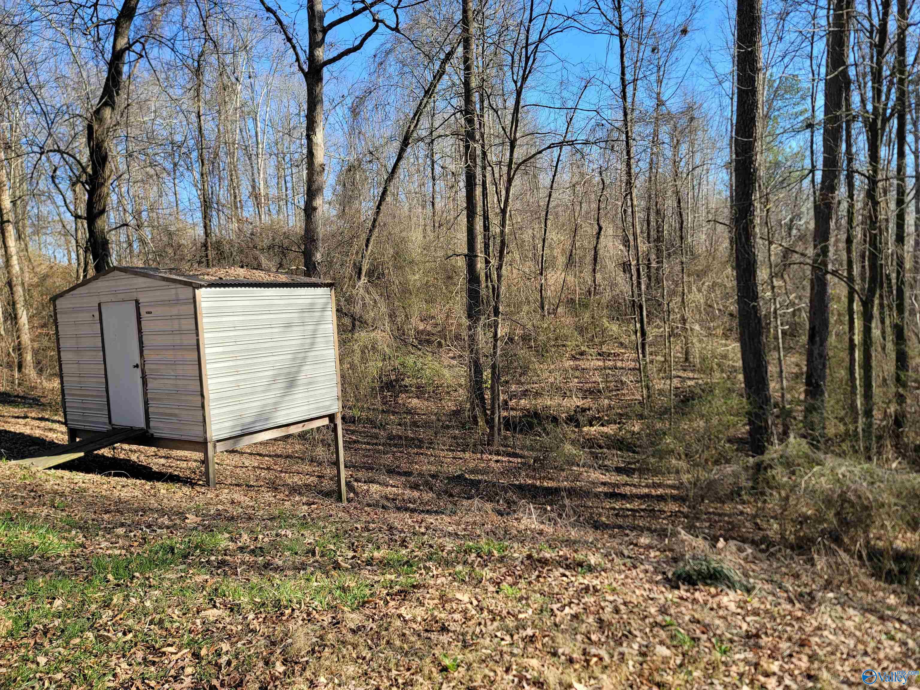 437 O Z Davis Road, Eva, Alabama image 30