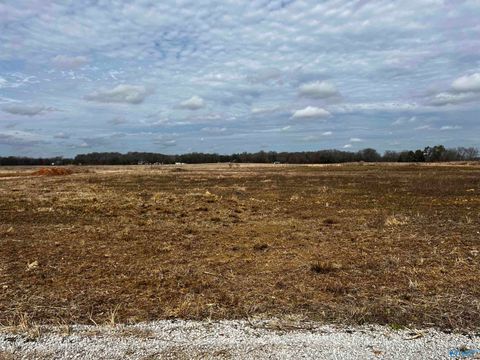 Vacant Land For Sale - 151 County Road 113<br/> Town Creek, AL 35672